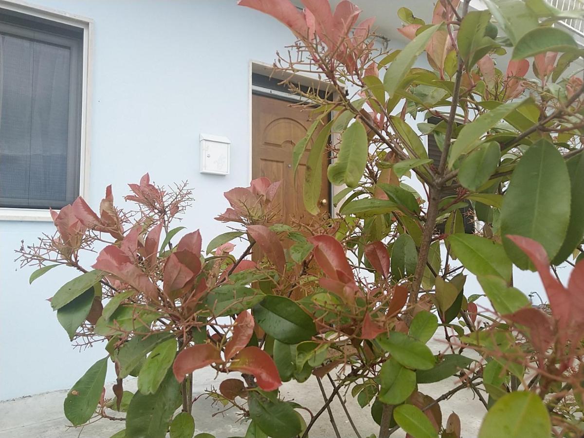 Rosa Dei Venti House Villa กัมโปมาริโน ภายนอก รูปภาพ