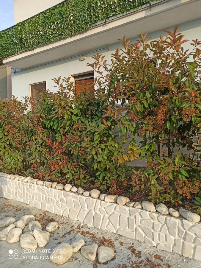 Rosa Dei Venti House Villa กัมโปมาริโน ภายนอก รูปภาพ